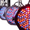 Led Par